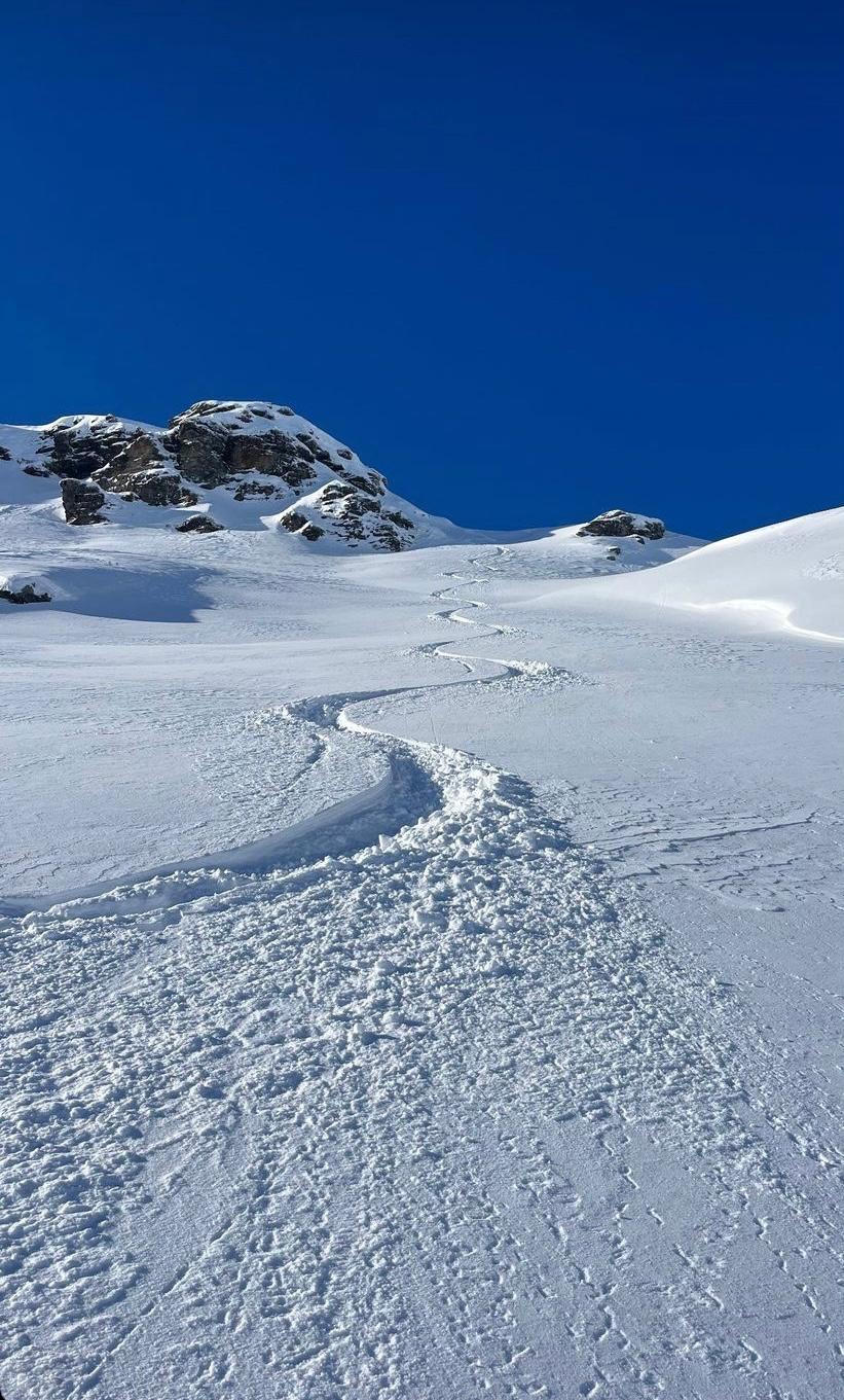 landscape private ski lessons